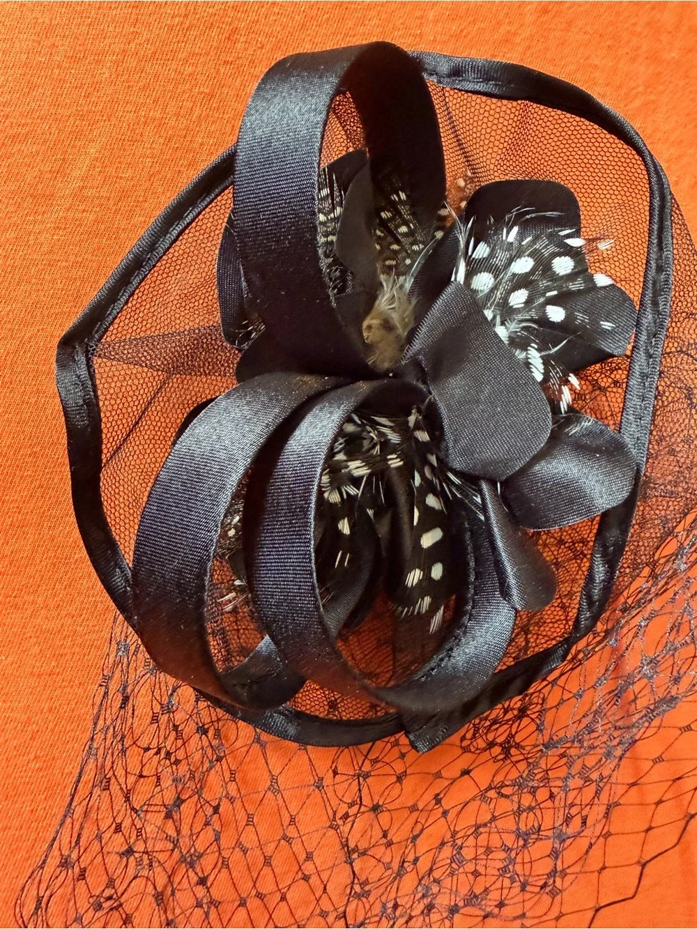 Black Feather Veil Fascinator Hair Clip